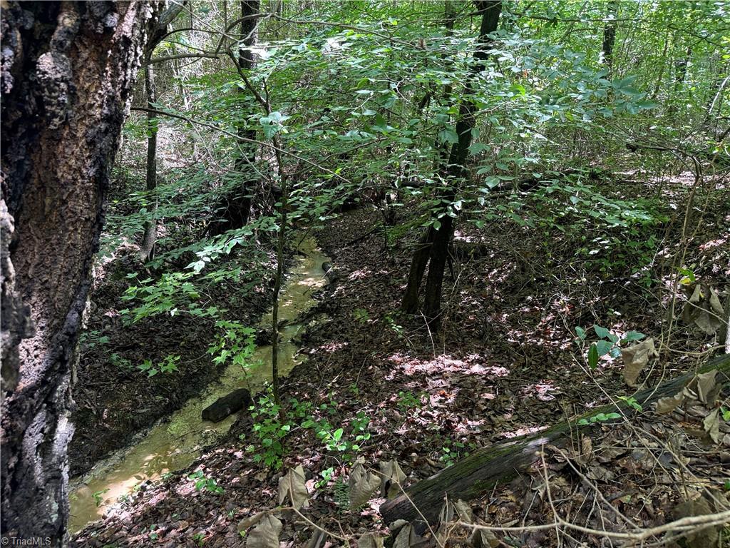 0 Rock Quarry Road Pelham, NC 27311 - Photo 25 of 36