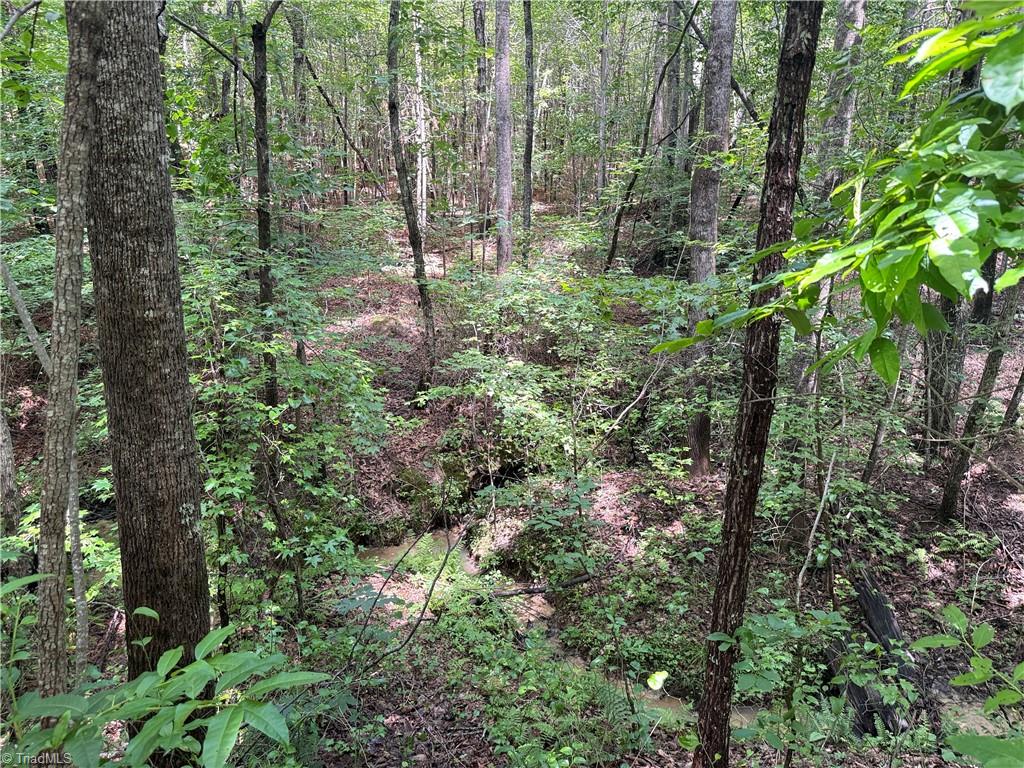 0 Rock Quarry Road Pelham, NC 27311 - Photo 26 of 36