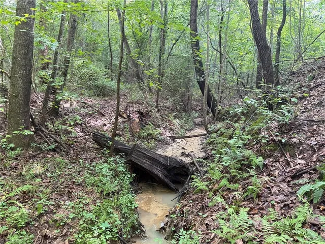 $197,400 | 0 Rock Quarry Road, Pelham, NC 27311