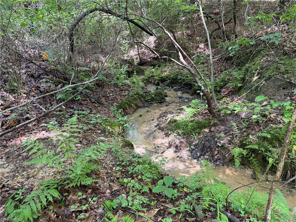 0 Rock Quarry Road Pelham, NC 27311 - Photo 28 of 36