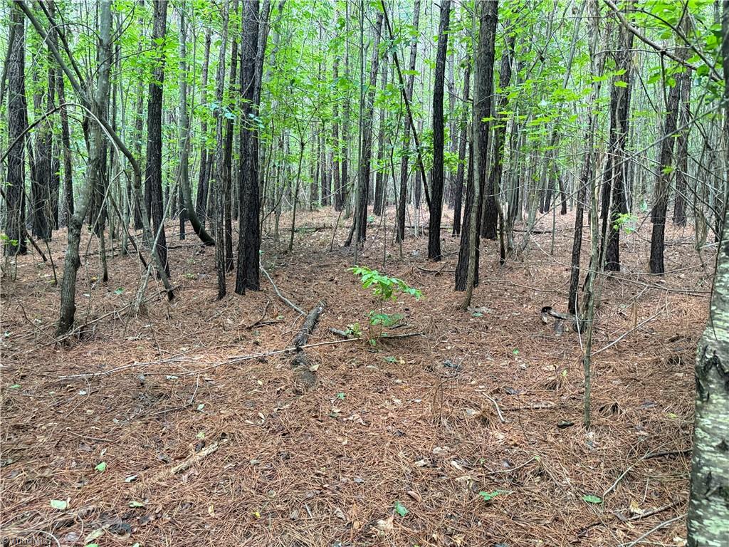 0 Rock Quarry Road Pelham, NC 27311 - Photo 29 of 36