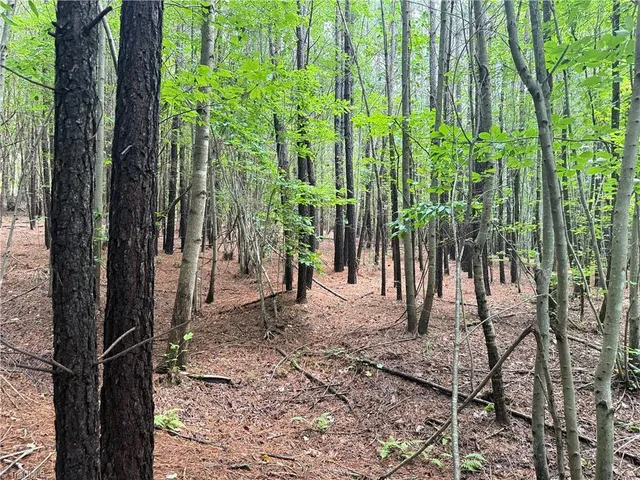 $197,400 | 0 Rock Quarry Road, Pelham, NC 27311