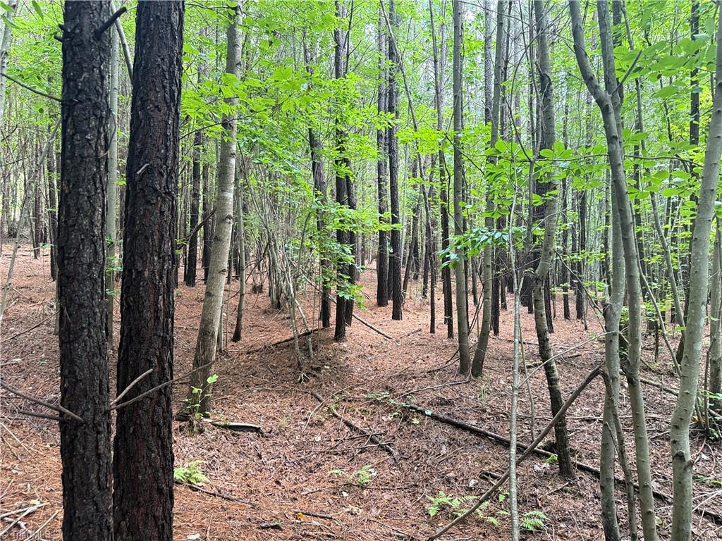 0 Rock Quarry Road Pelham, NC 27311 - Photo 30 of 36