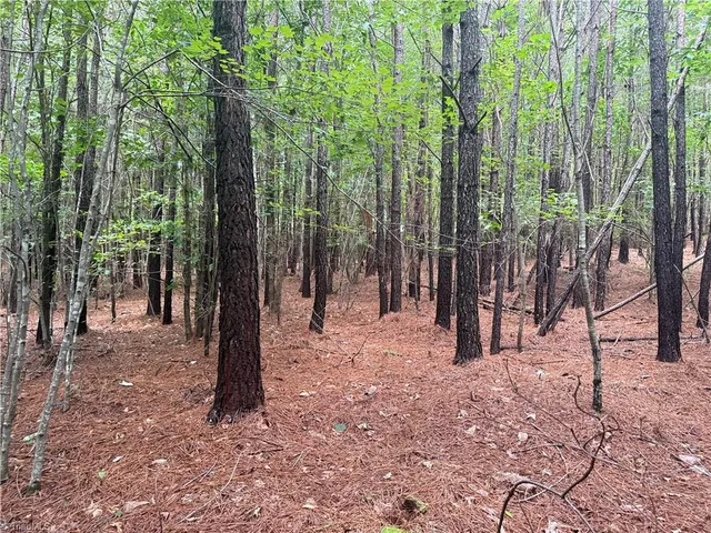 $197,400 | 0 Rock Quarry Road, Pelham, NC 27311