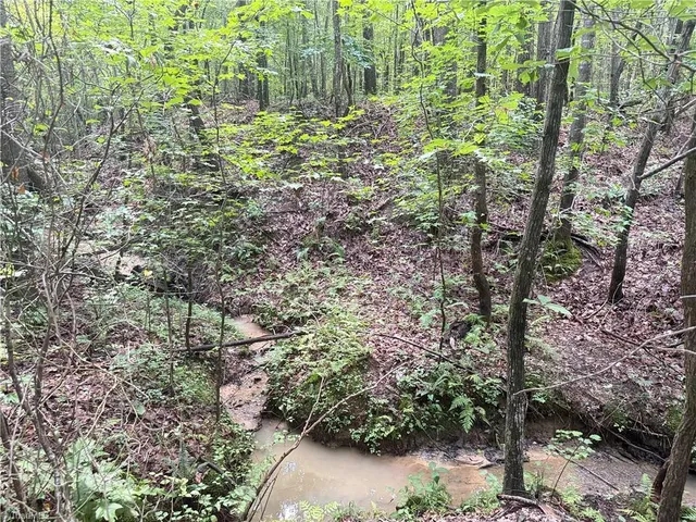 $197,400 | 0 Rock Quarry Road, Pelham, NC 27311