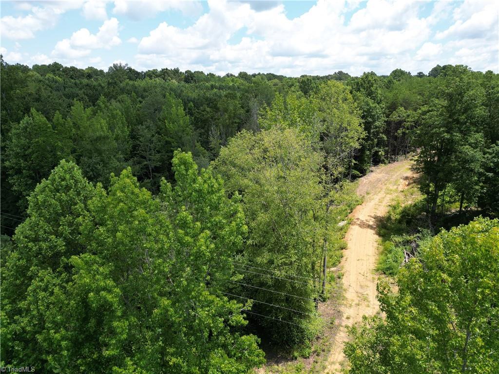 0 Rock Quarry Road Pelham, NC 27311 - Photo 34 of 36