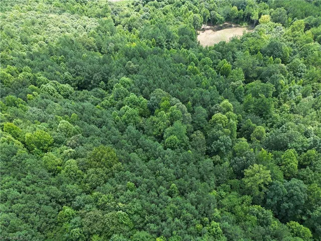 $197,400 | 0 Rock Quarry Road, Pelham, NC 27311