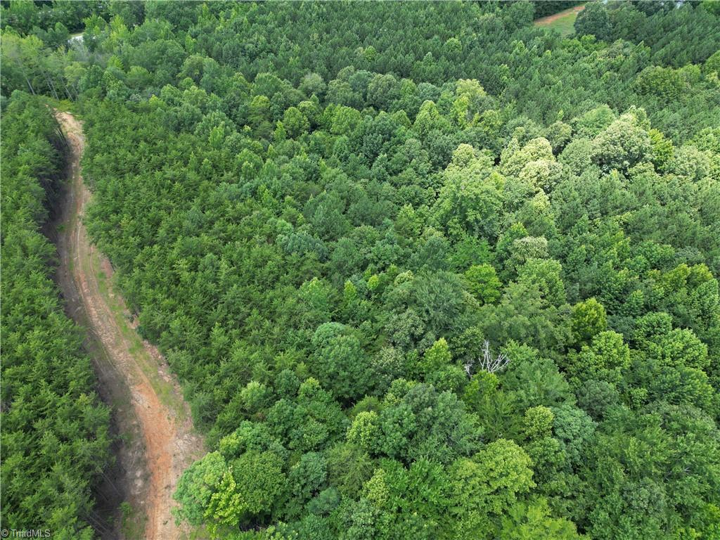 0 Rock Quarry Road Pelham, NC 27311 - Photo 36 of 36