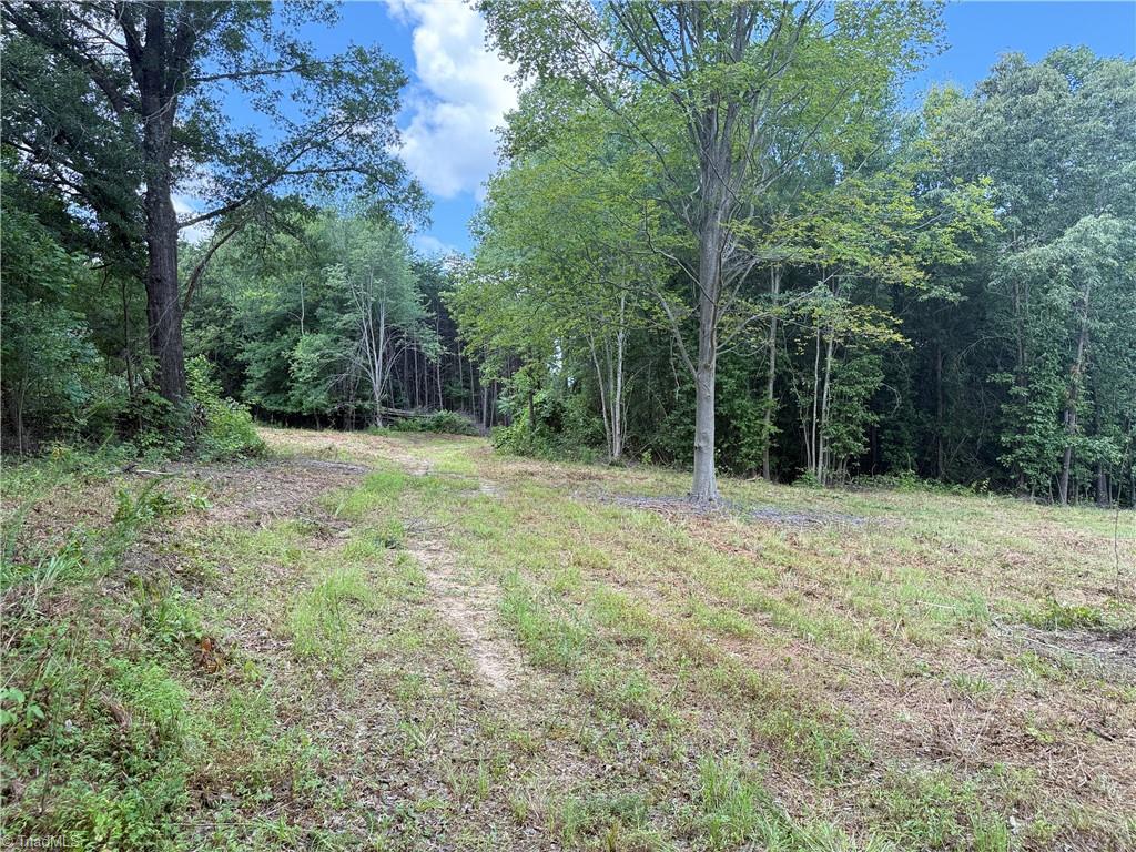 0 Rock Quarry Road Pelham, NC 27311 - Photo 5 of 36