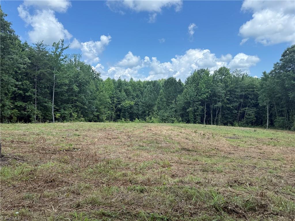 0 Rock Quarry Road Pelham, NC 27311 - Photo 6 of 36