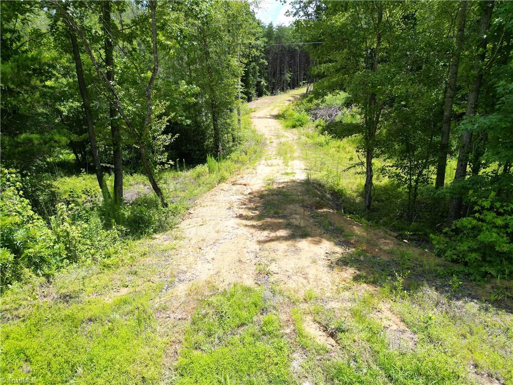 0 Rock Quarry Road Pelham, NC 27311 - Photo 7 of 36