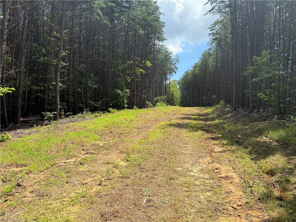 0 Rock Quarry Road Pelham, NC 27311 - Photo 8 of 36