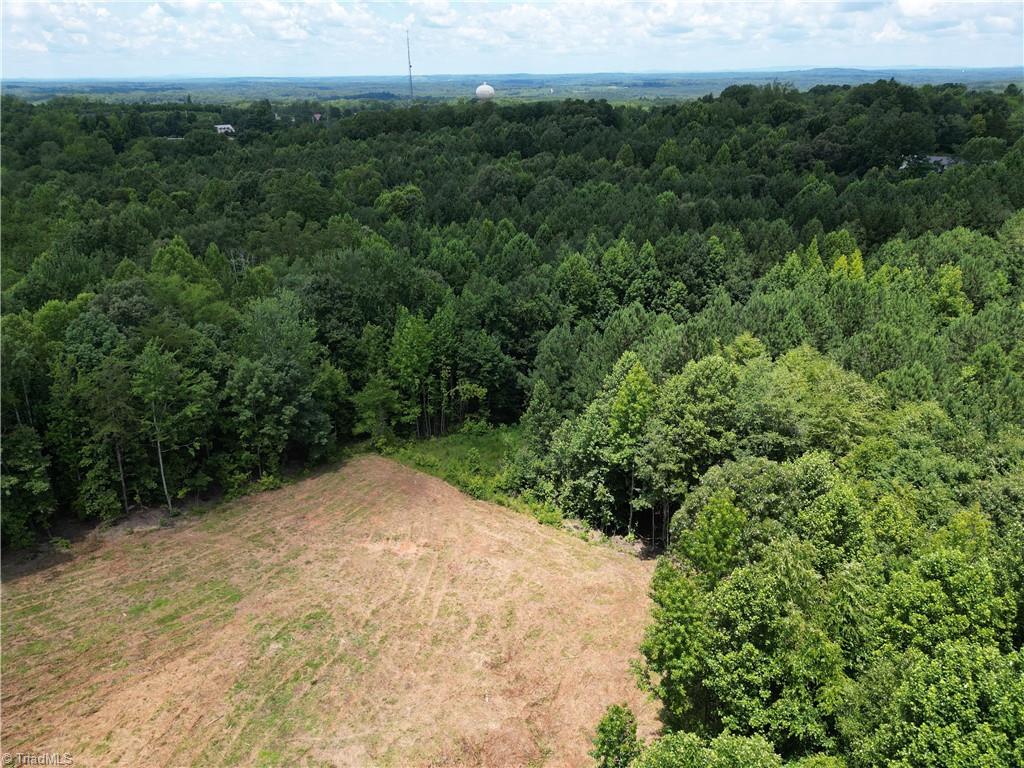 0 Rock Quarry Road Pelham, NC 27311 - Photo 9 of 36