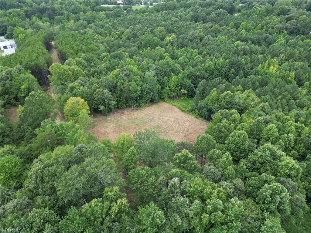 0 Rock Quarry Road Pelham, NC 27311 - Photo 10 of 36