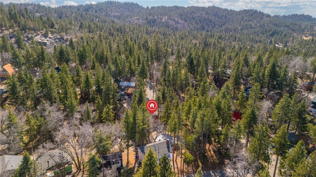 33061 Blue Bird Lane Running Springs, CA 92382 - Photo 49 of 53