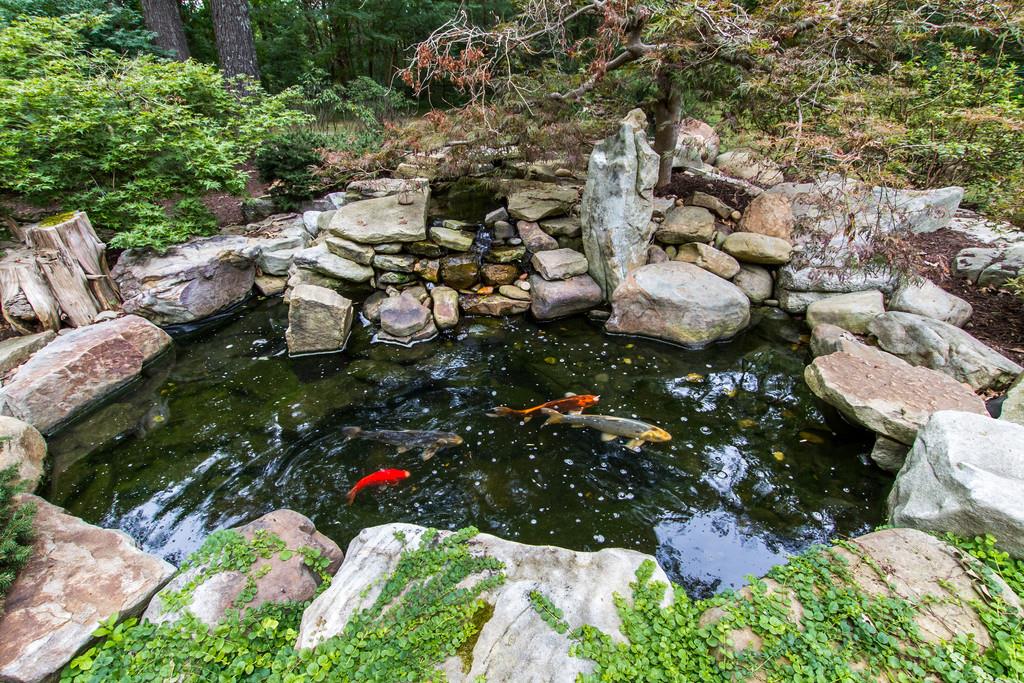 3958 Shores Road Murfreesboro, TN 37128 - Photo 25 of 30 Gallery Image 25