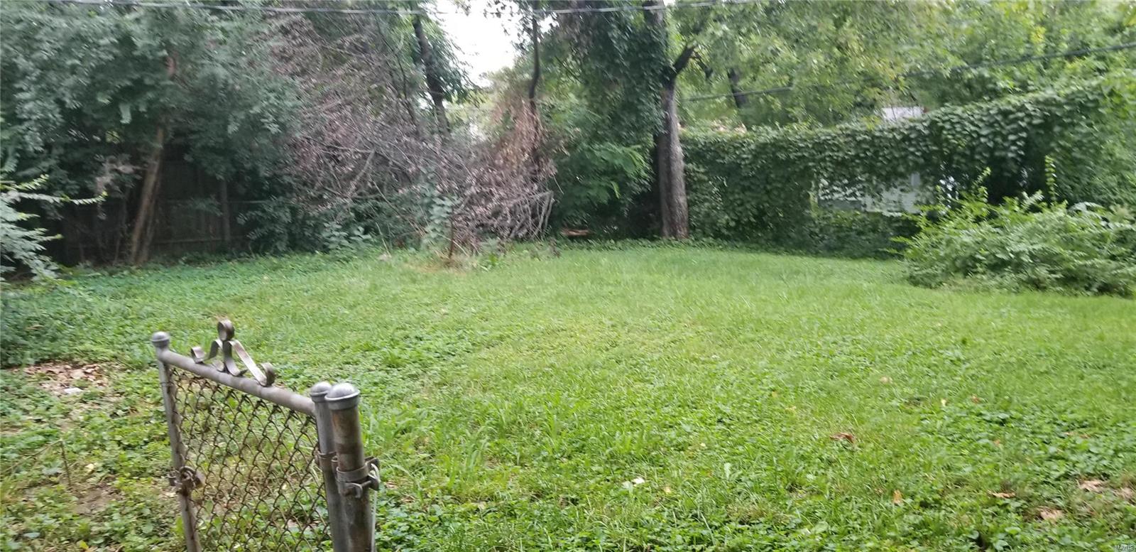 131 Roderick Drive St. Louis, MO 63137 - Photo 4 of 9