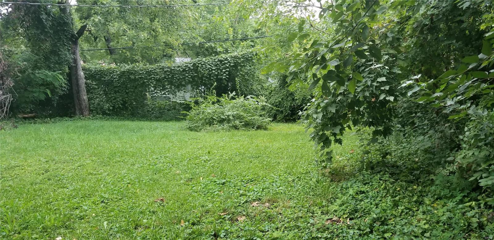 131 Roderick Drive St. Louis, MO 63137 - Photo 5 of 9