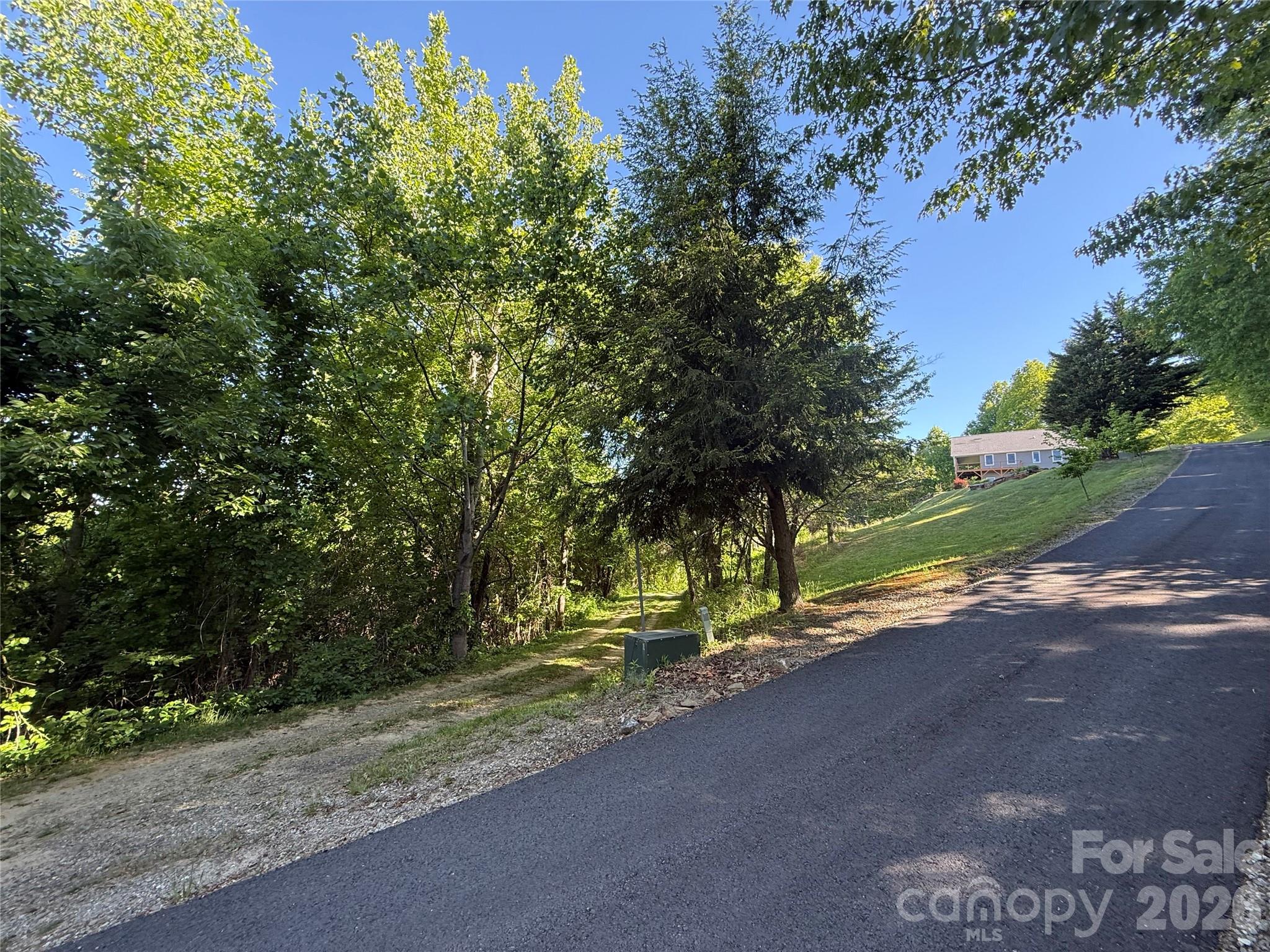 9999 Hunters Ridge Road Canton, NC 28716 - Photo 19 of 19