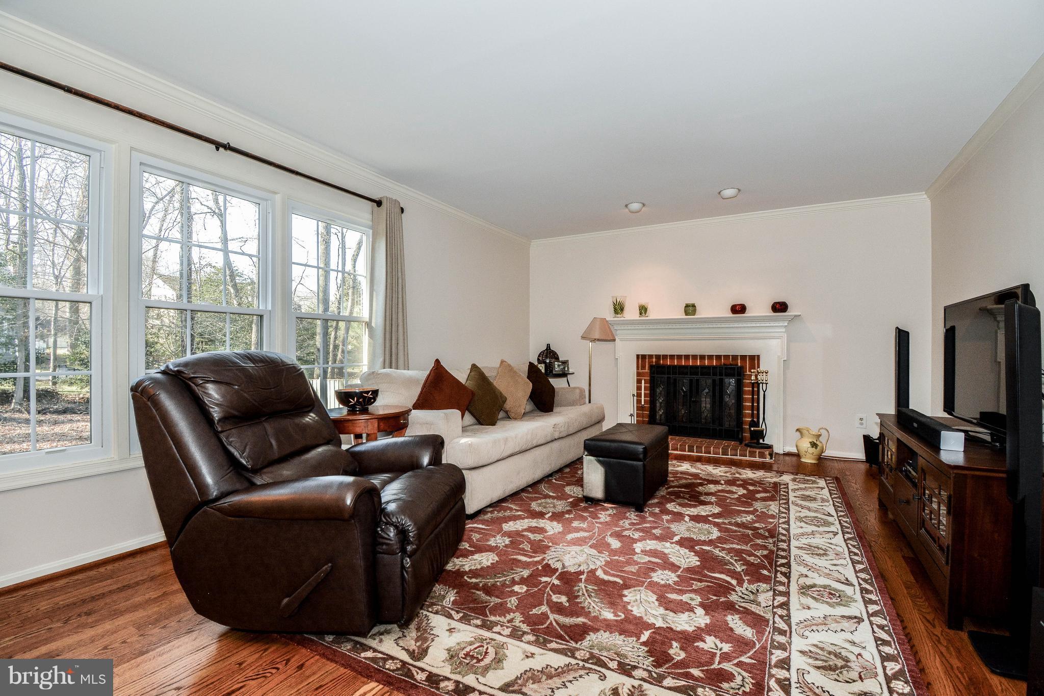 11809 Grey Birch Place Reston, VA 20191 - Photo 9 of 30 Family Room with fireplace