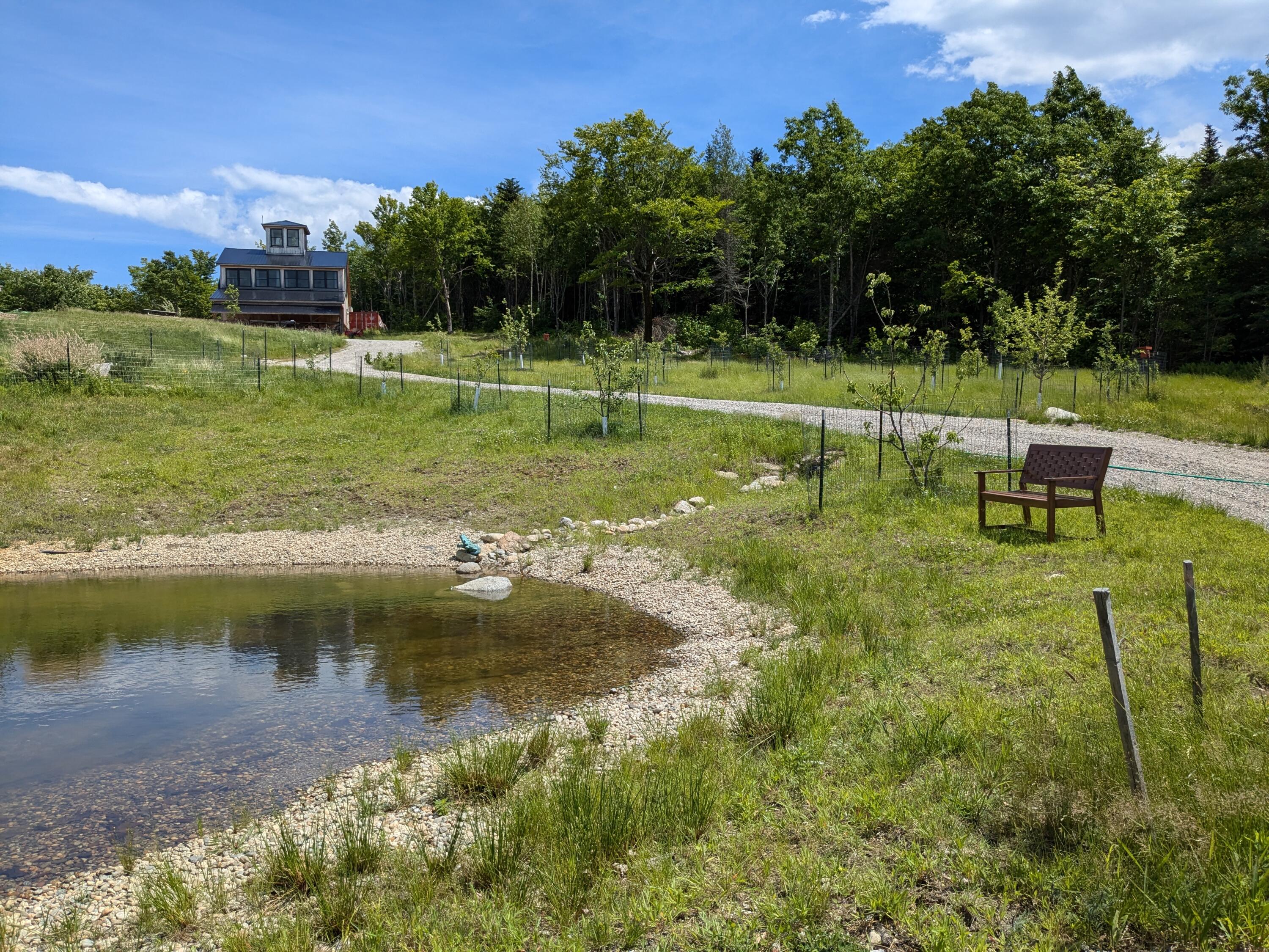 341 Outlook Road Woodstock, ME 04219 - Photo 89 of 114 Pond