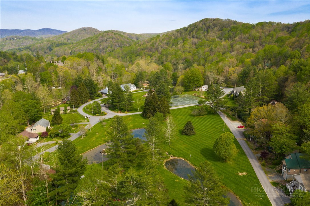 265 Leatherwood Road Banner Elk, NC 28604 - Photo 40 of 42 a view of a lush green hillside and houses