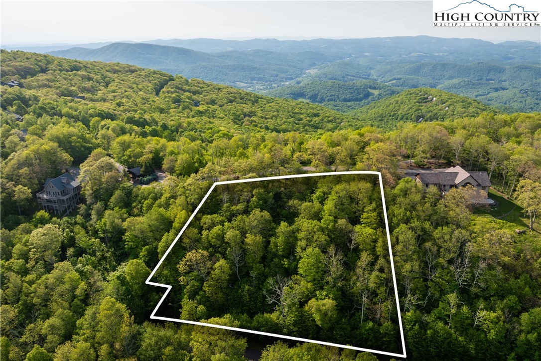 Lot 4 Crown Point Road West Jefferson, NC 28694 - Photo 12 of 15 a view of a forest