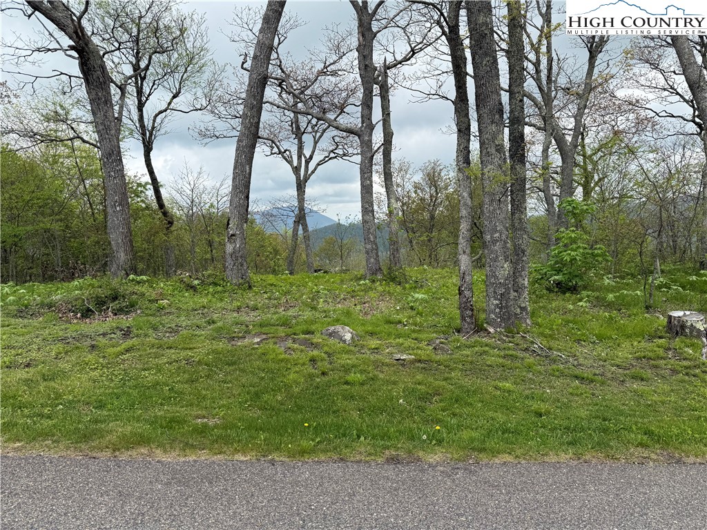 Lot 4 Crown Point Road West Jefferson, NC 28694 - Photo 13 of 15 a large green field with lots of trees