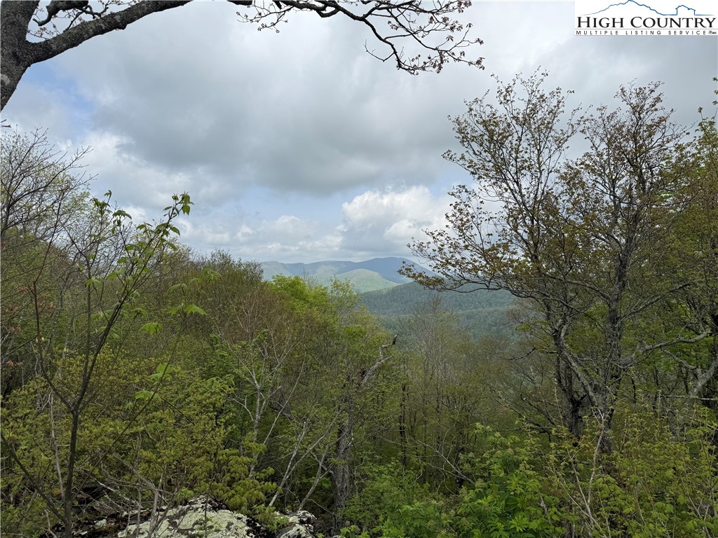 Lot 4 Crown Point Road West Jefferson, NC 28694 - Photo 14 of 15 a view of a lake in middle of forest