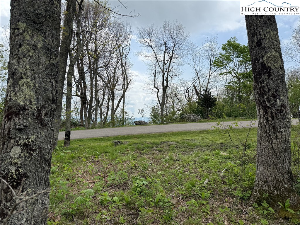 Lot 4 Crown Point Road West Jefferson, NC 28694 - Photo 15 of 15 a view of outdoor space