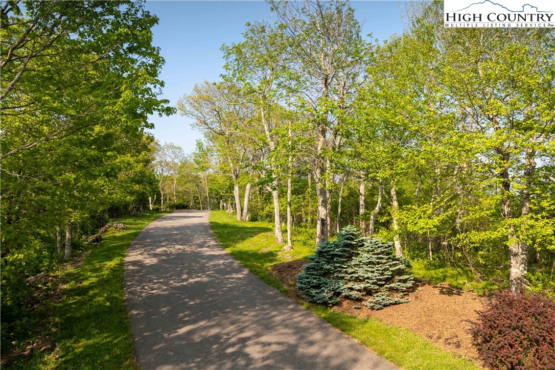 Lot 4 Crown Point Road West Jefferson, NC 28694 - Photo 2 of 15 a view of a yard with plants