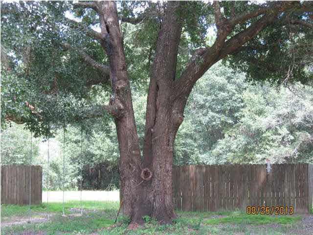 5966 Colter Road Milton, FL 32583 - Photo 2 of 13 Gallery Image 2