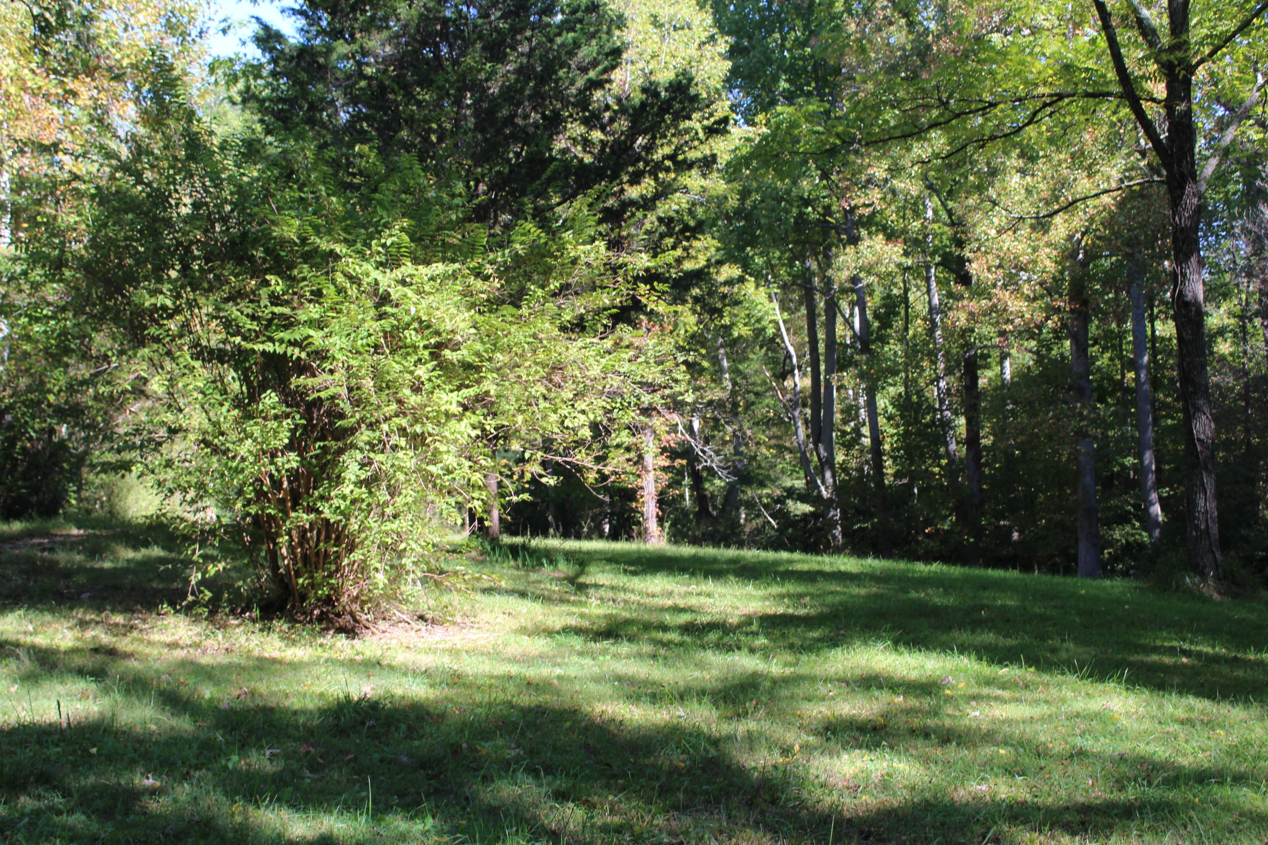 763 Allred Road Clarkrange, TN 38553 - Photo 22 of 23 IMG_7658
