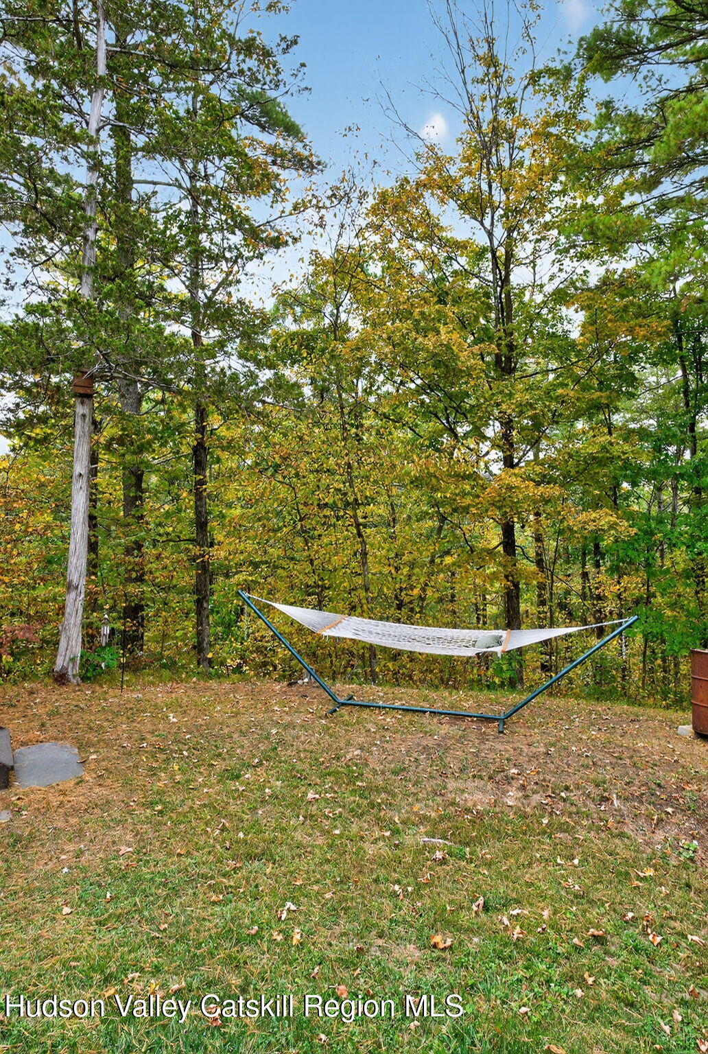 52 Paul Horn Road Catskill, NY 12414 - Photo 42 of 53 a view of a yard