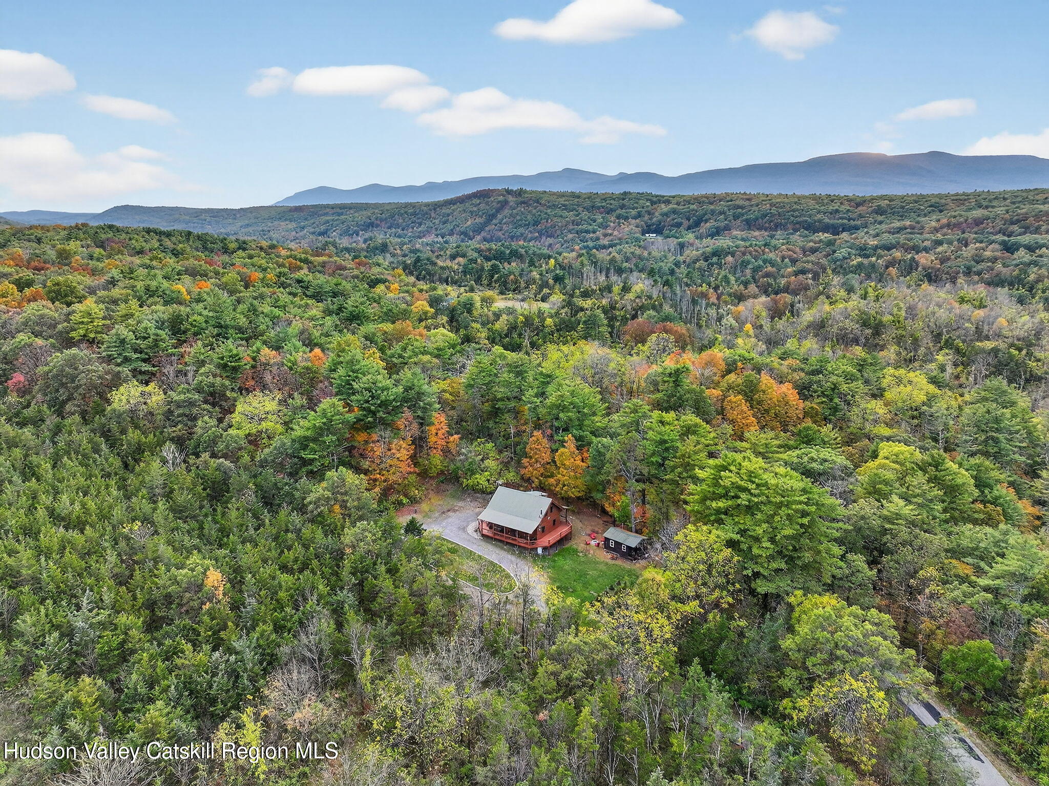52 Paul Horn Road Catskill, NY 12414 - Photo 49 of 53 a view of a lush green forest with trees and houses