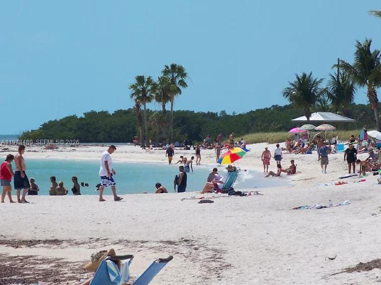 227 Sombrero Beach Road Marathon, FL 33050 - Photo 53 of 56