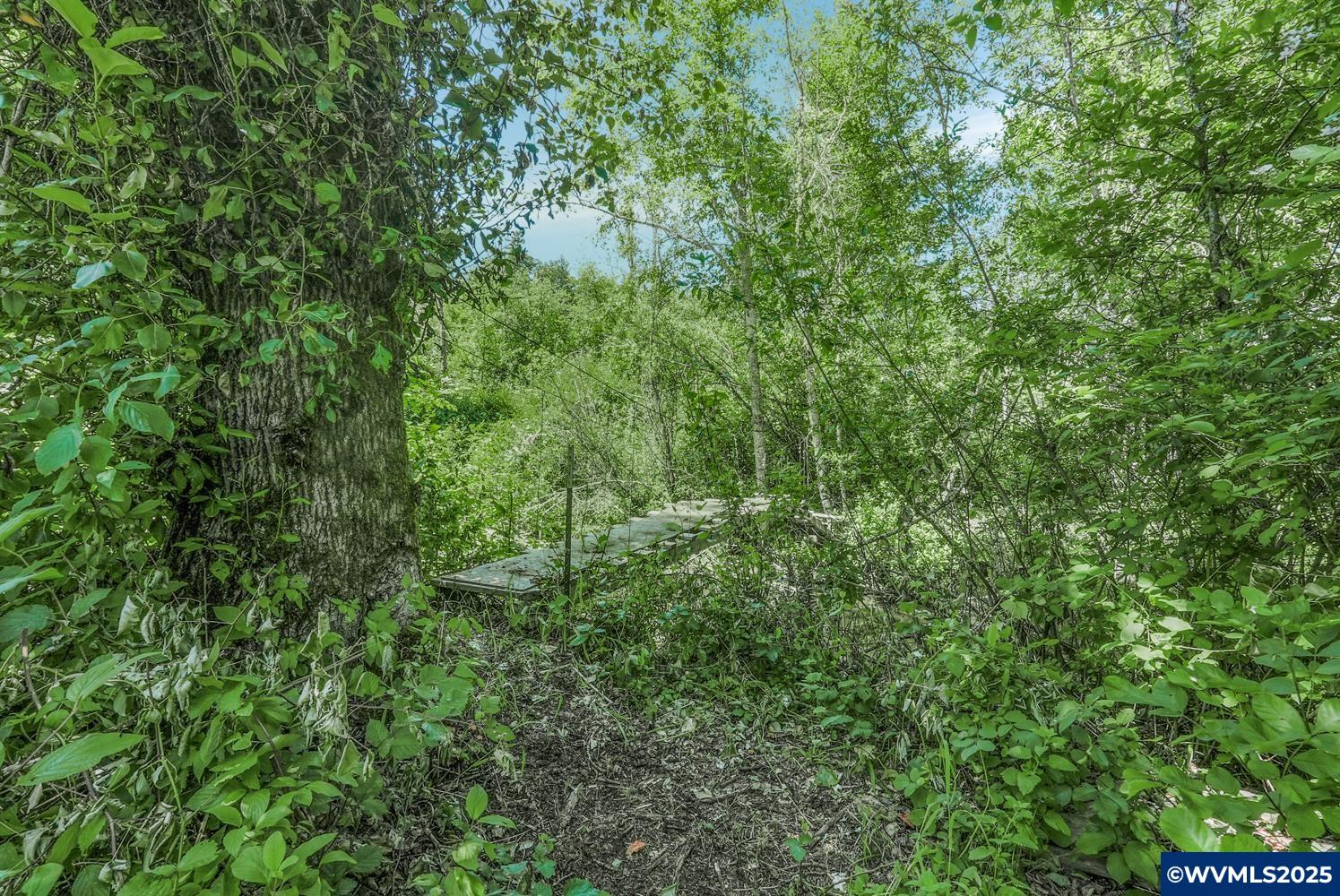 0 Gooseneck Road Sheridan, OR 97378 - Photo 14 of 39