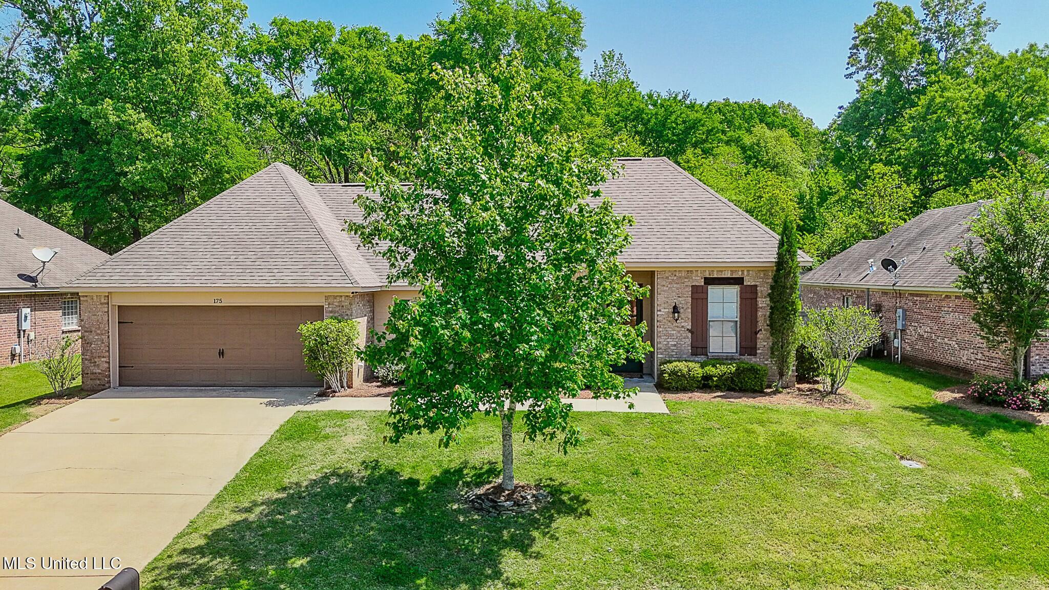 175 Memory Lane Madison, MS 39110 - Photo 54 of 54 tempImage7h22tK