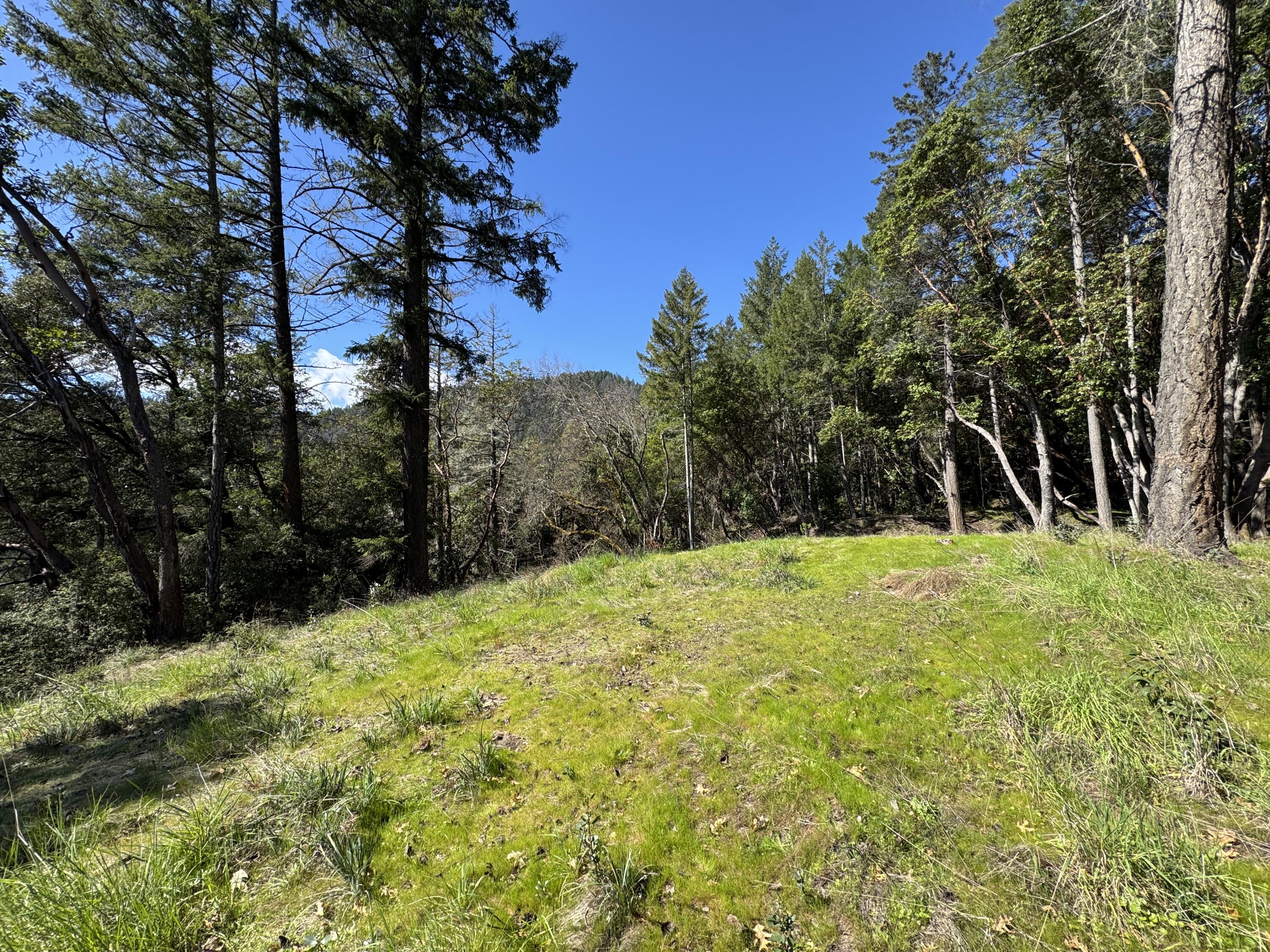 1330 Salyer Loop Road Salyer, CA 95563 - Photo 12 of 26