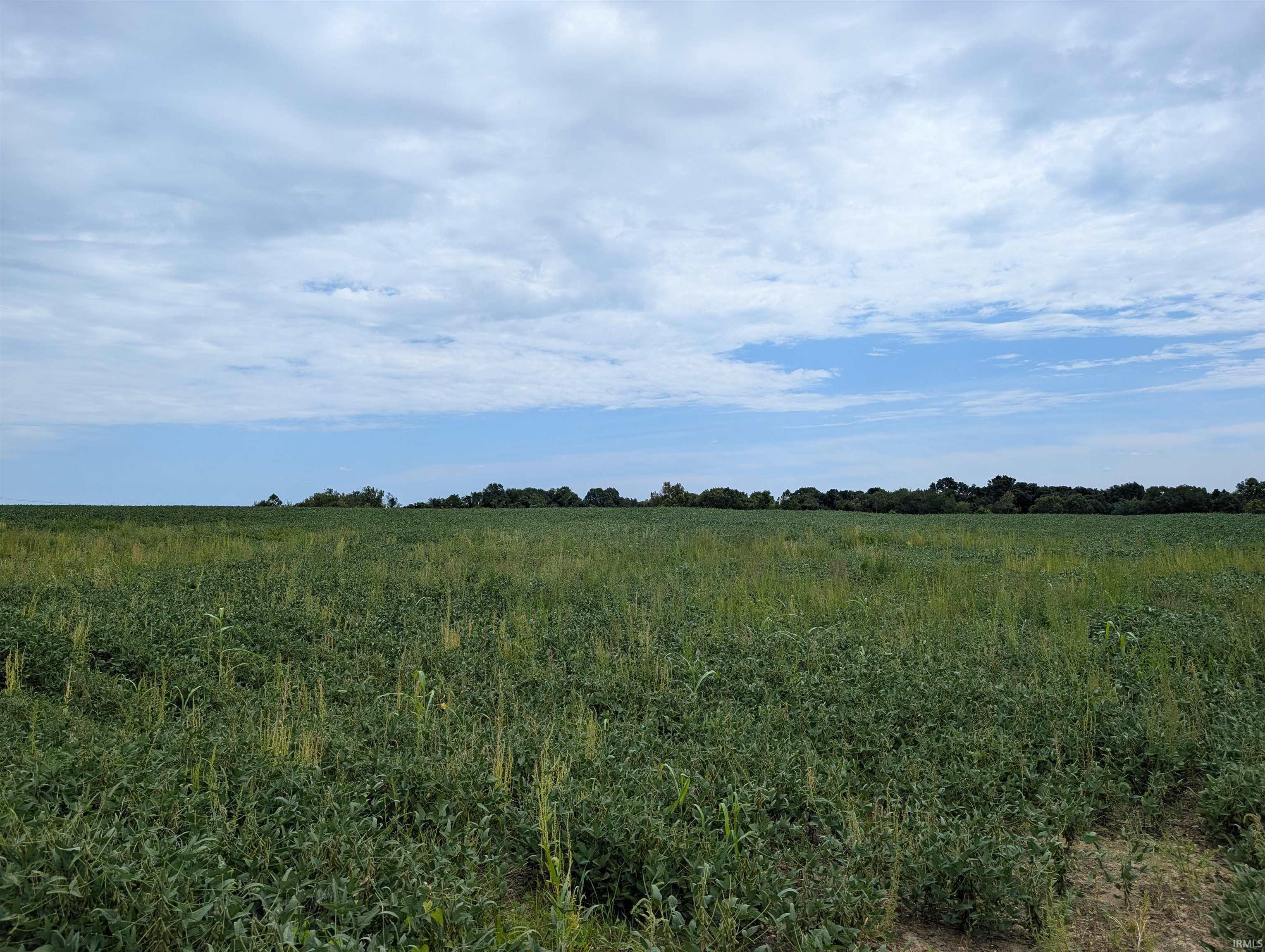 231 Us Highway Loogootee, IN 47553 - Photo 14 of 18