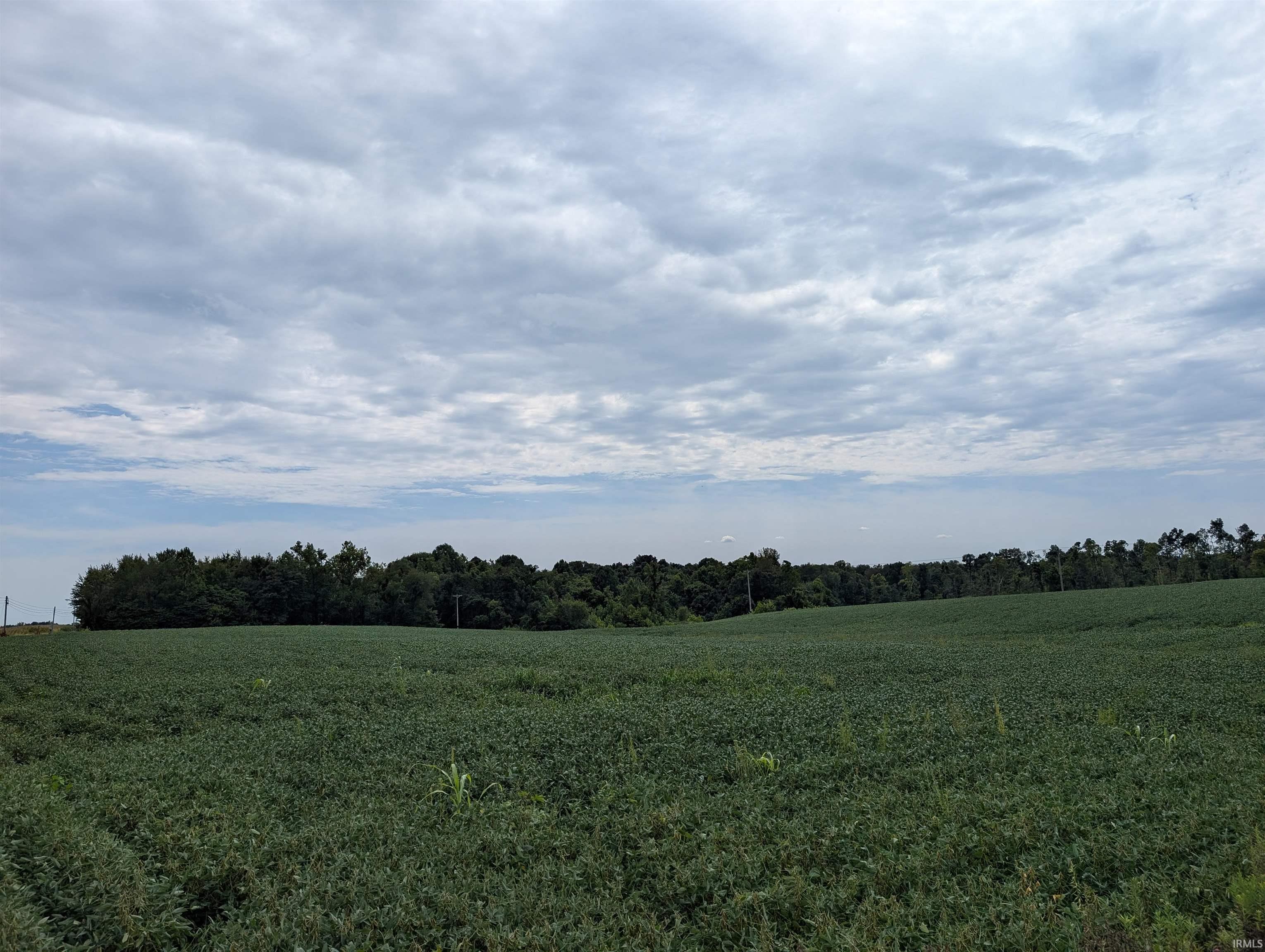 231 Us Highway Loogootee, IN 47553 - Photo 15 of 18