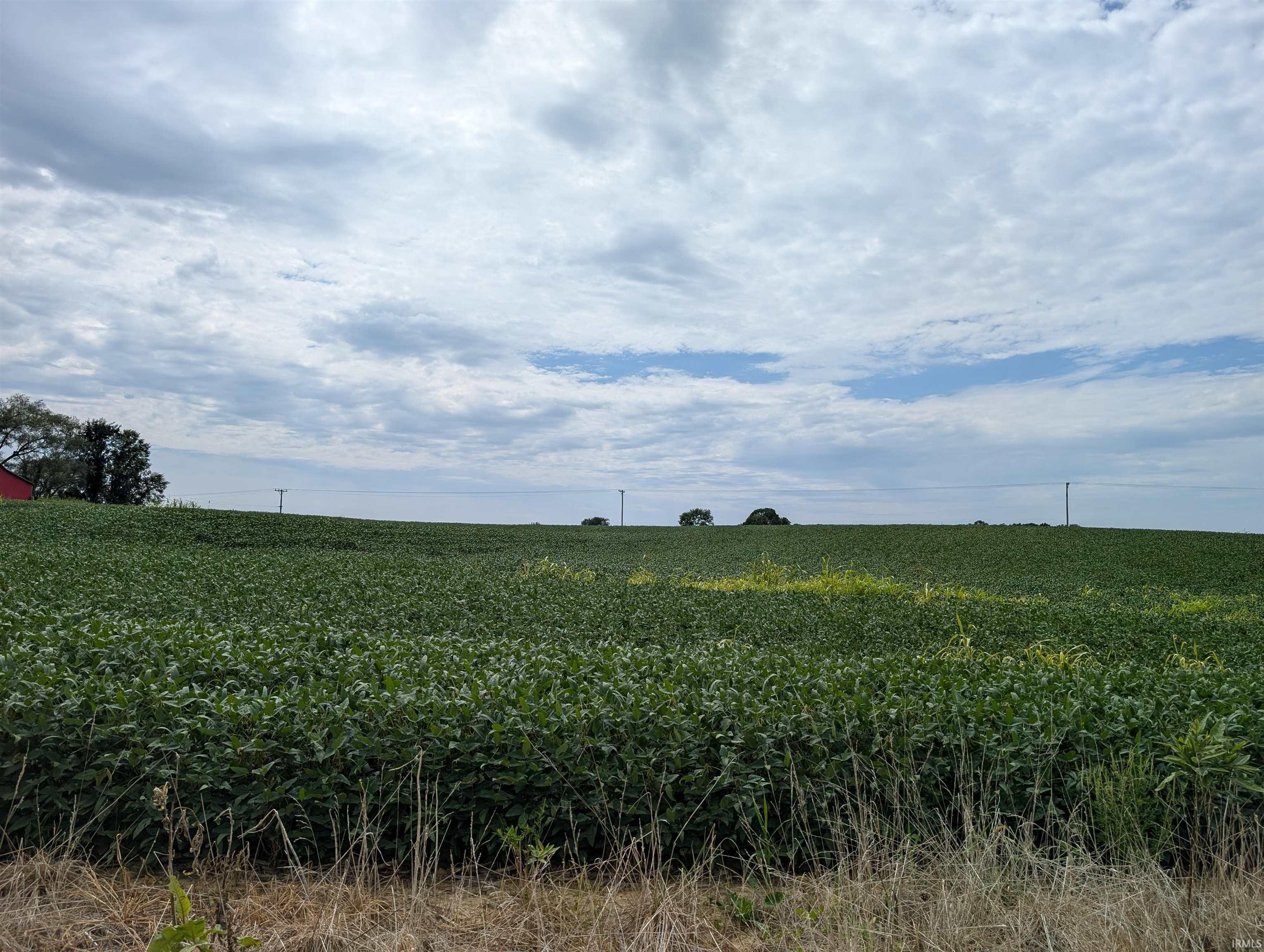 231 Us Highway Loogootee, IN 47553 - Photo 17 of 18