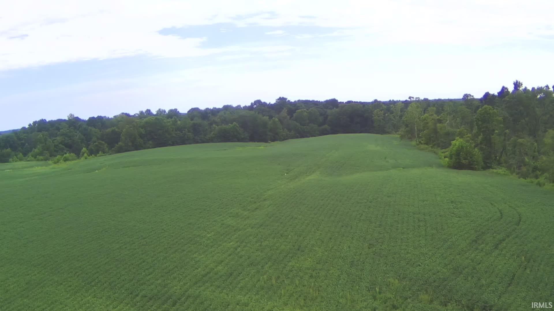 231 Us Highway Loogootee, IN 47553 - Photo 3 of 18