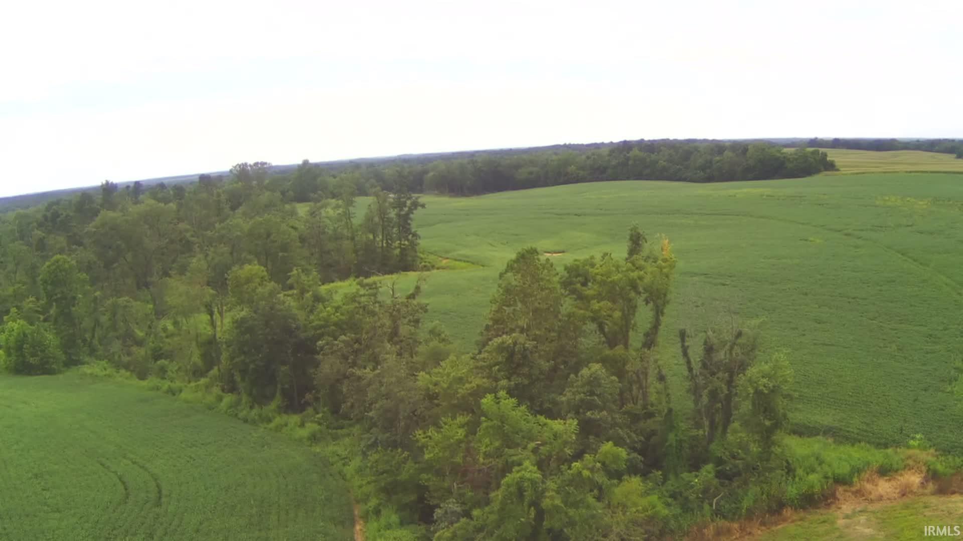 231 Us Highway Loogootee, IN 47553 - Photo 4 of 18