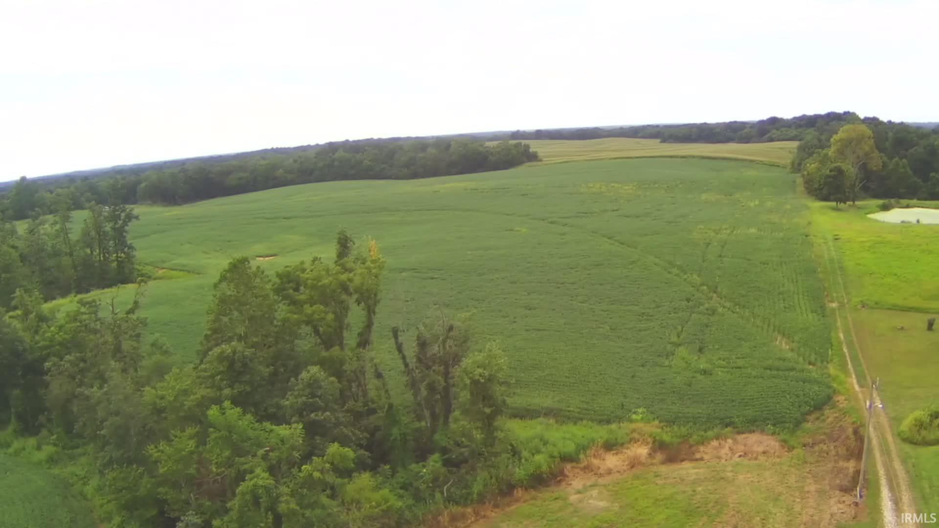 231 Us Highway Loogootee, IN 47553 - Photo 5 of 18