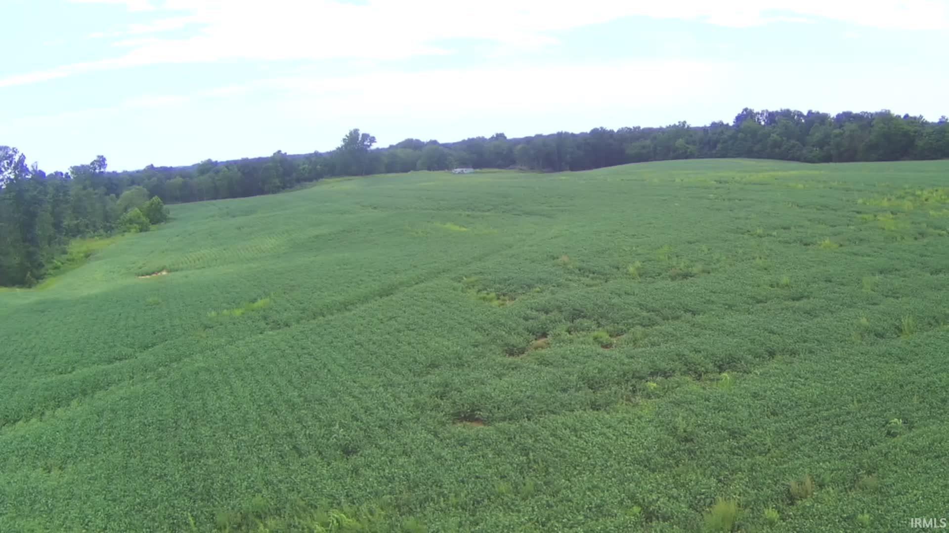 231 Us Highway Loogootee, IN 47553 - Photo 6 of 18