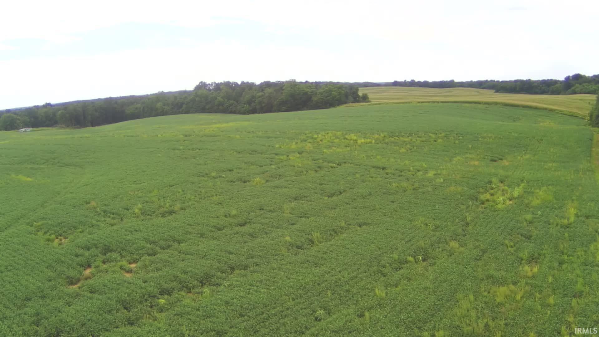 231 Us Highway Loogootee, IN 47553 - Photo 7 of 18