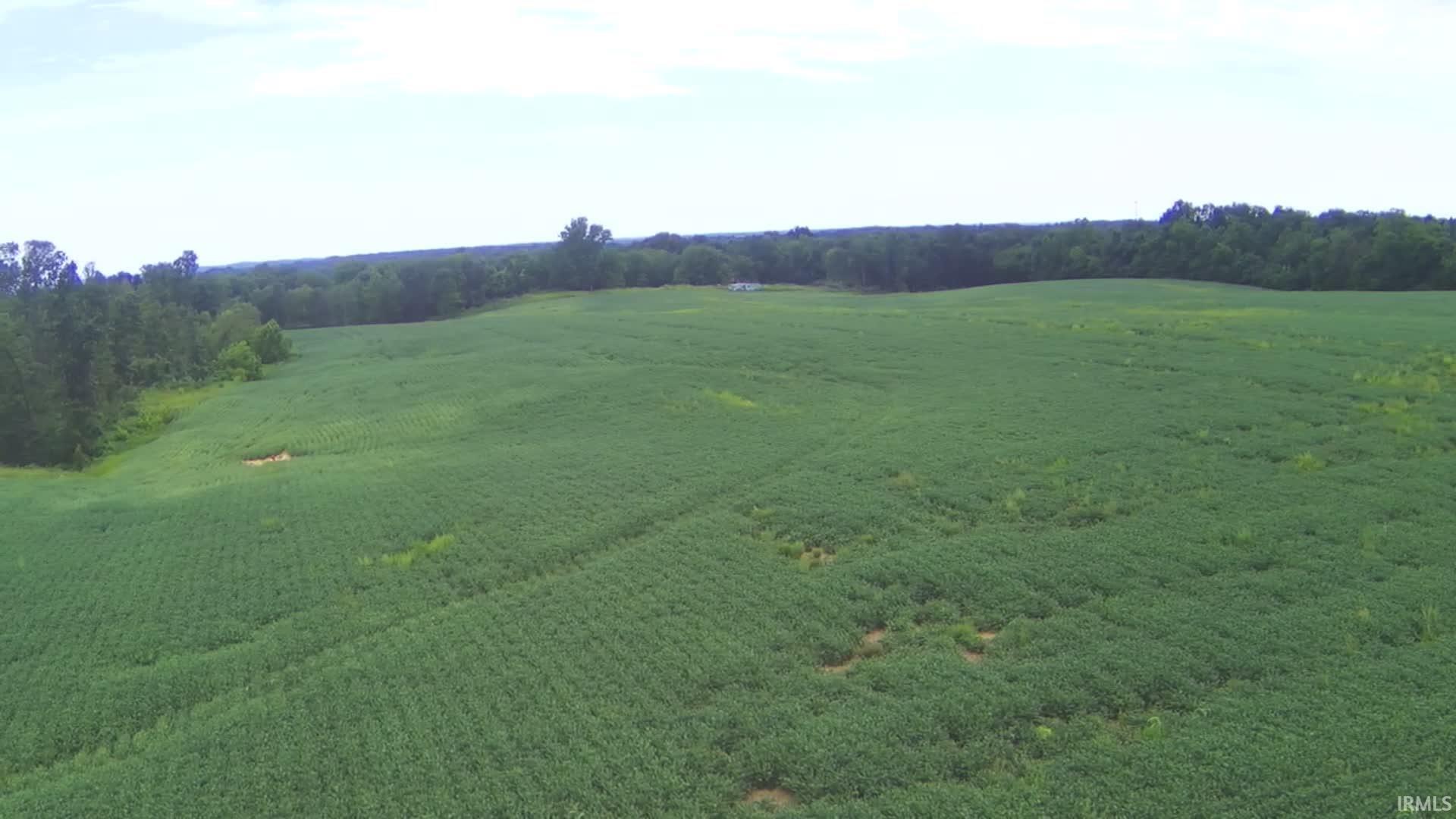 231 Us Highway Loogootee, IN 47553 - Photo 8 of 18