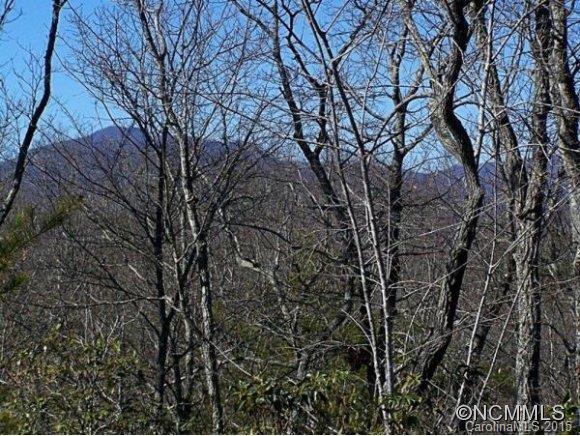 37 Dream Catcher Ridge Lake, Unit 37 Rutherfordton, NC 28139 - Photo 4 of 12