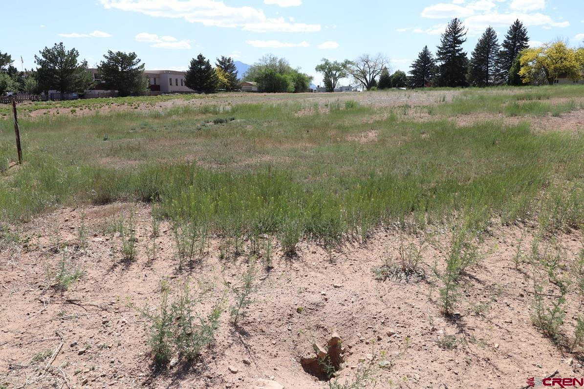 915 South Broadway Cortez, CO 81321 - Photo 6 of 7 a view of a field with trees